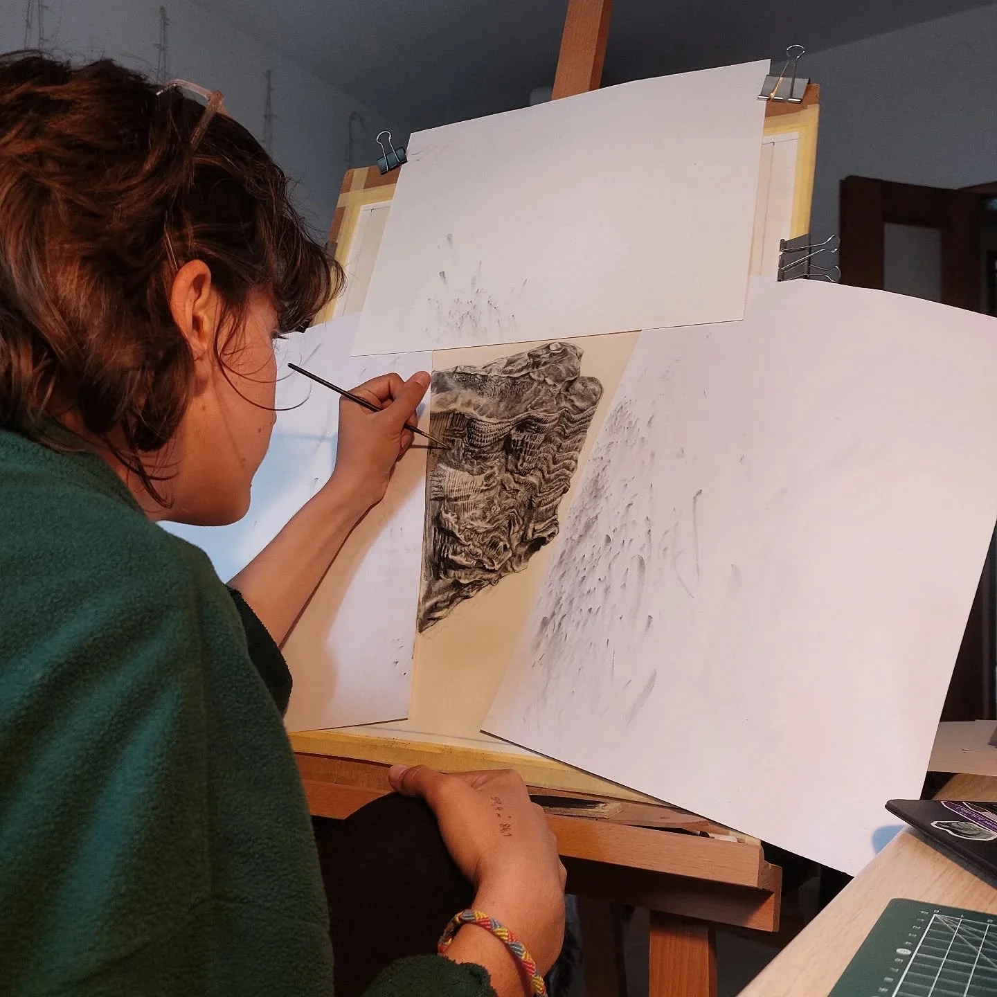 🐚 WIP : illustrating a fossil of a rudist (Radiolitidae)
🌍 Bica formation (Portugal) 
✏️ charcoal - A2 tea-dyed paper

#naturalhistoryillustration #scientificillustrator #paleoillustration #charcoalart