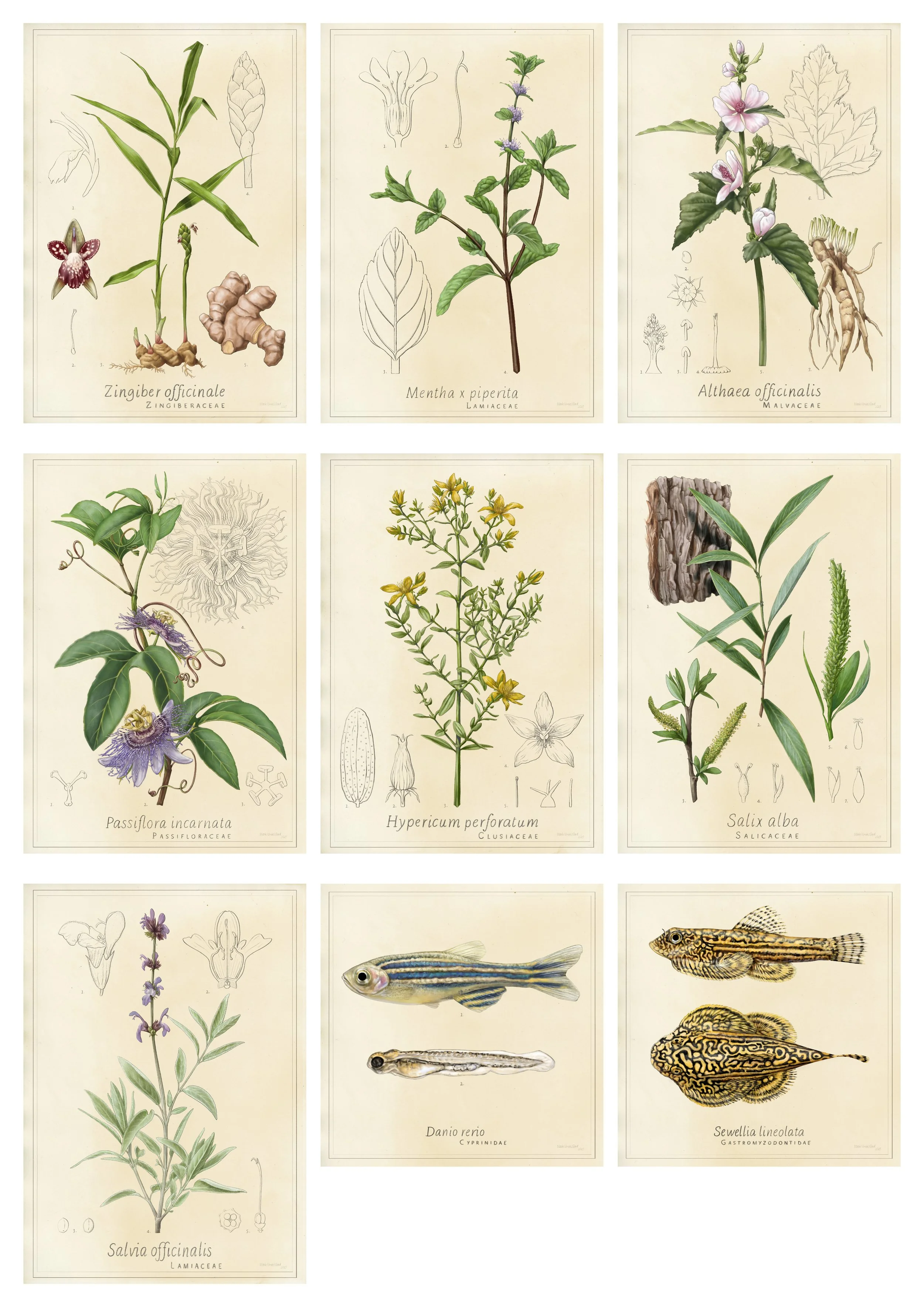 "Jardiner" - CITÉ DES SCIENCES