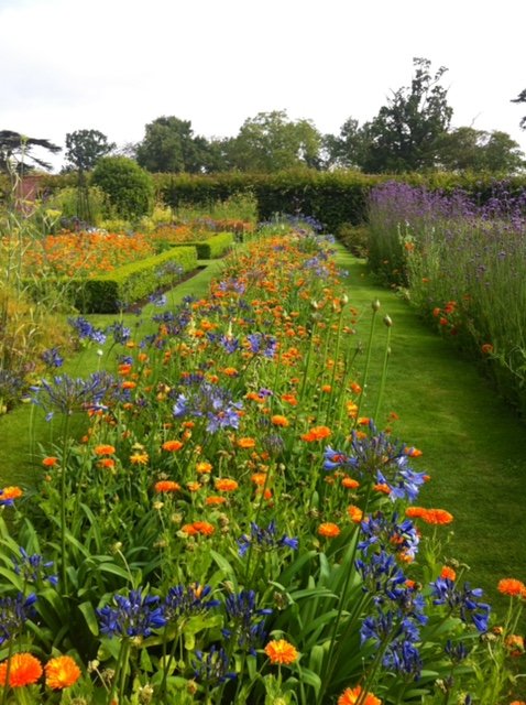 A vibrant garden with colorful flowers, including orange marigolds and blue irises, and a well-maintained grassy path.