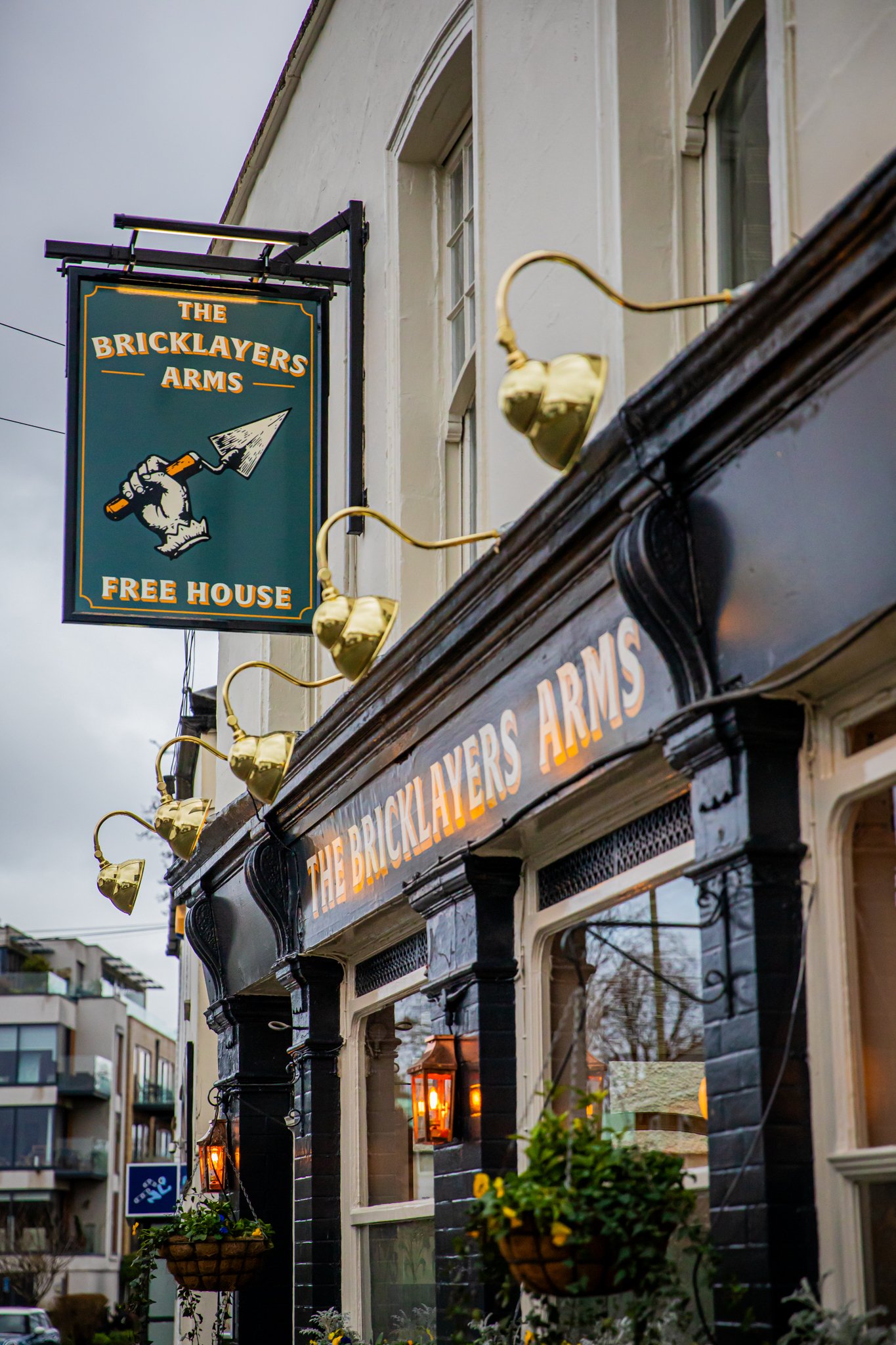 Tropical Shroes vid-67.jpg