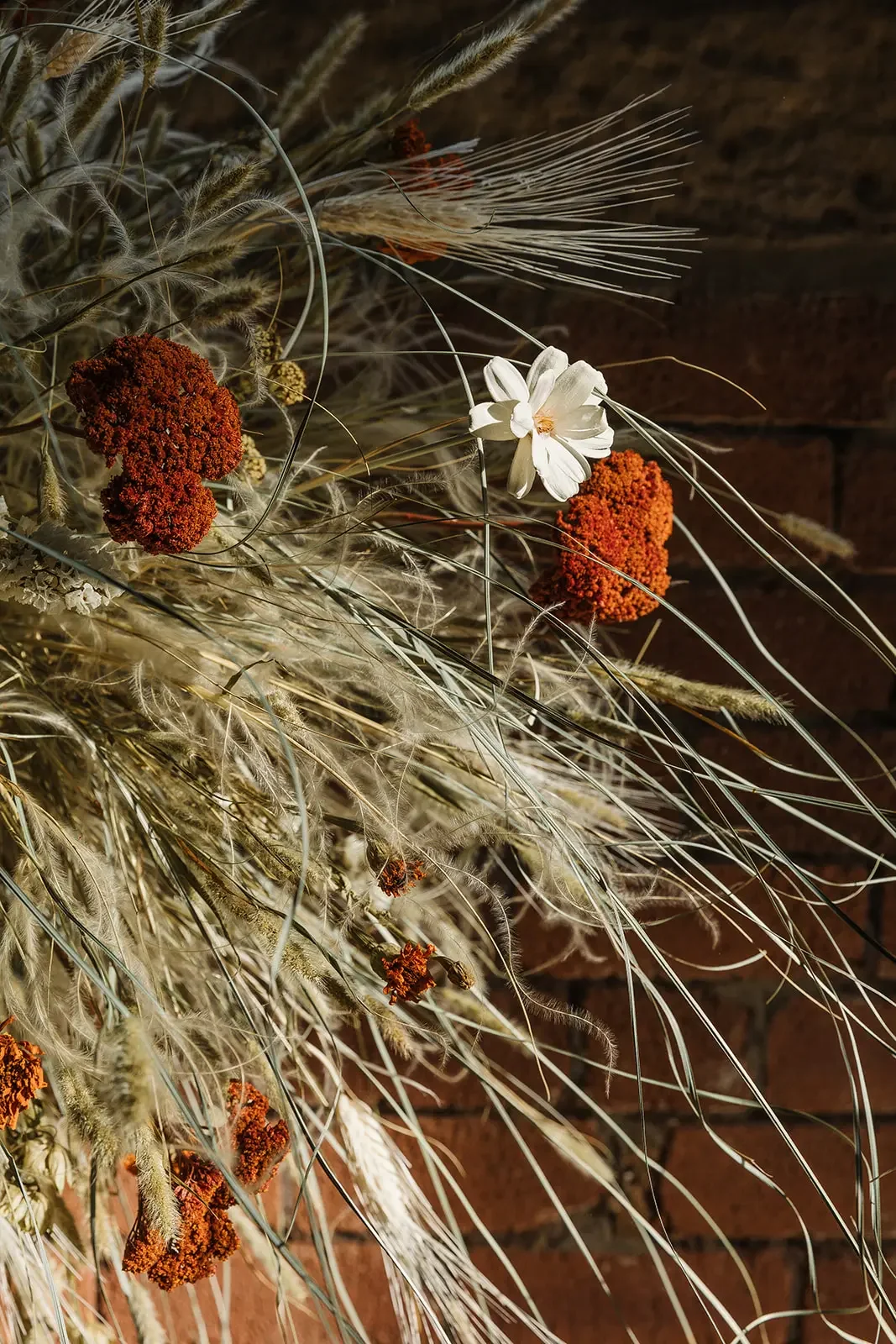 dried flower hanging - wildform - anther studio-4.webp