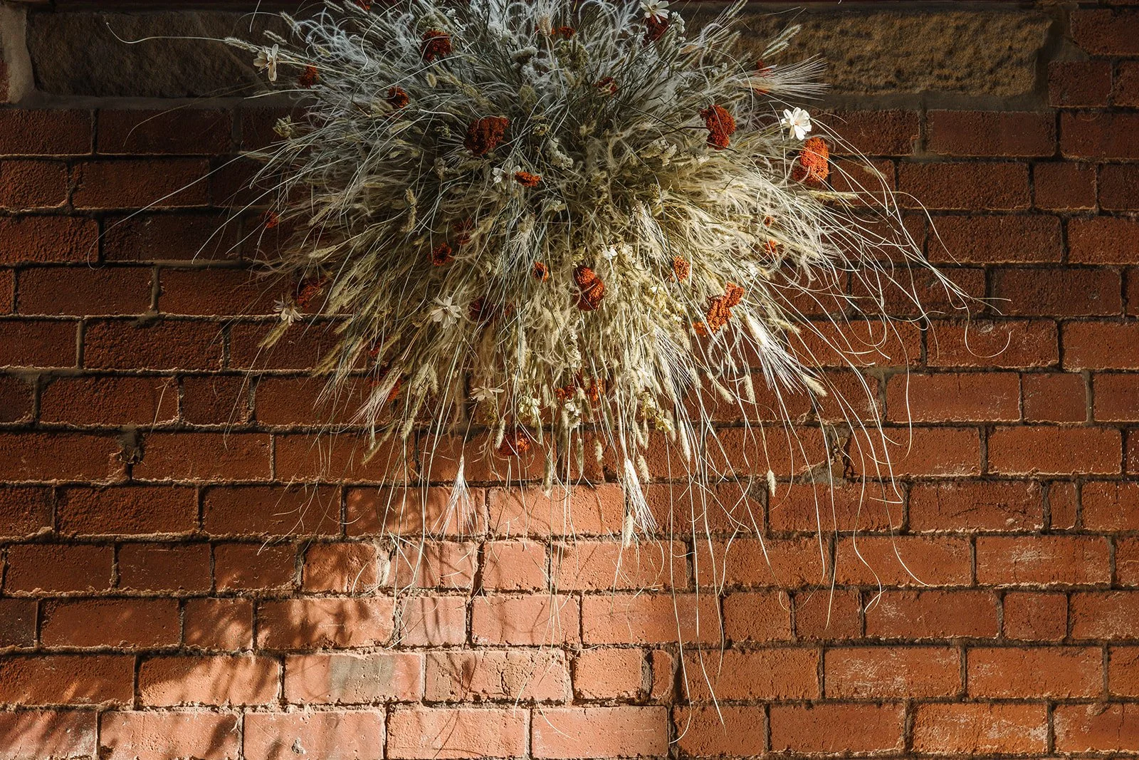 The Ultimate Guide to Creating Warmth & Texture with Dried Flowers This Autumn