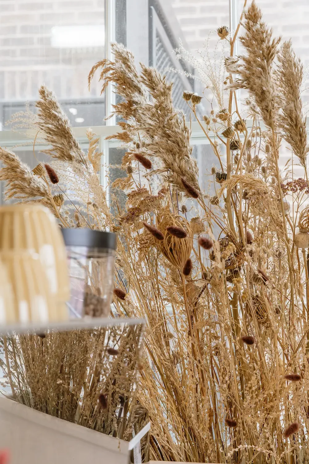 Close-up detail of dried pampas, teasels and bunny tails in a coffee shop floral installation