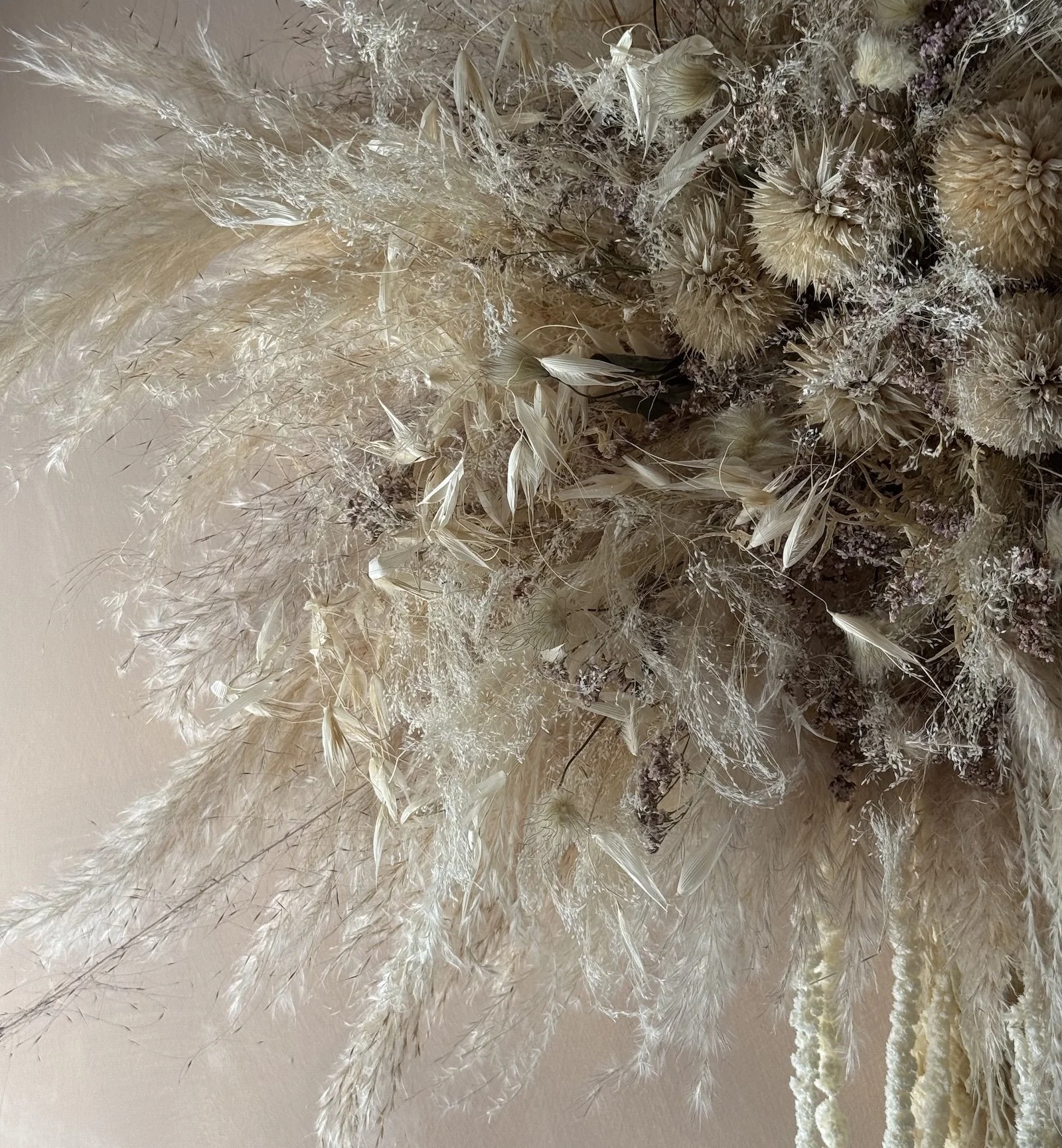 Close up of dried flowers in wall hanging