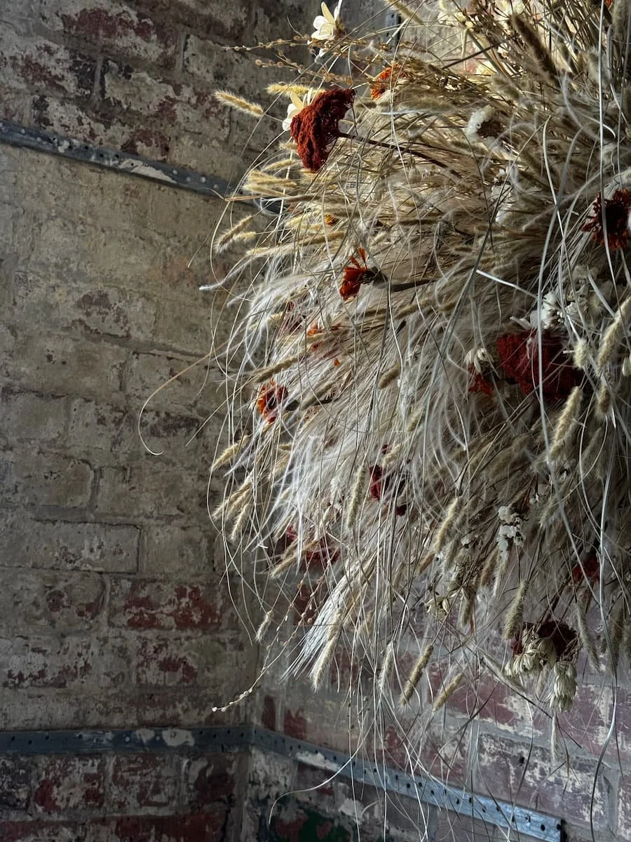 close up of dried grasses in the light against original brickwork