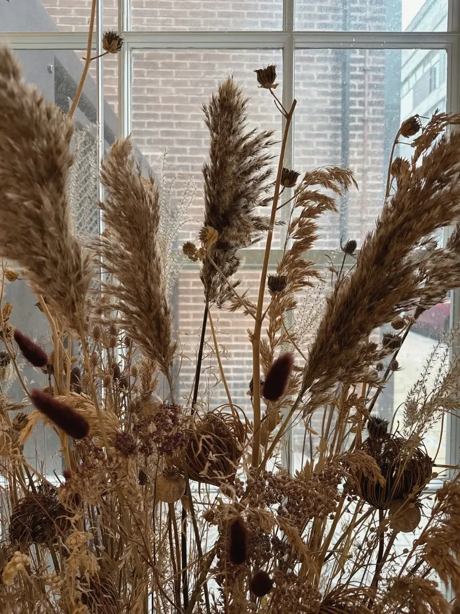 close up of dried flower meadow installation by Anther at Güs Wellness Sheffield