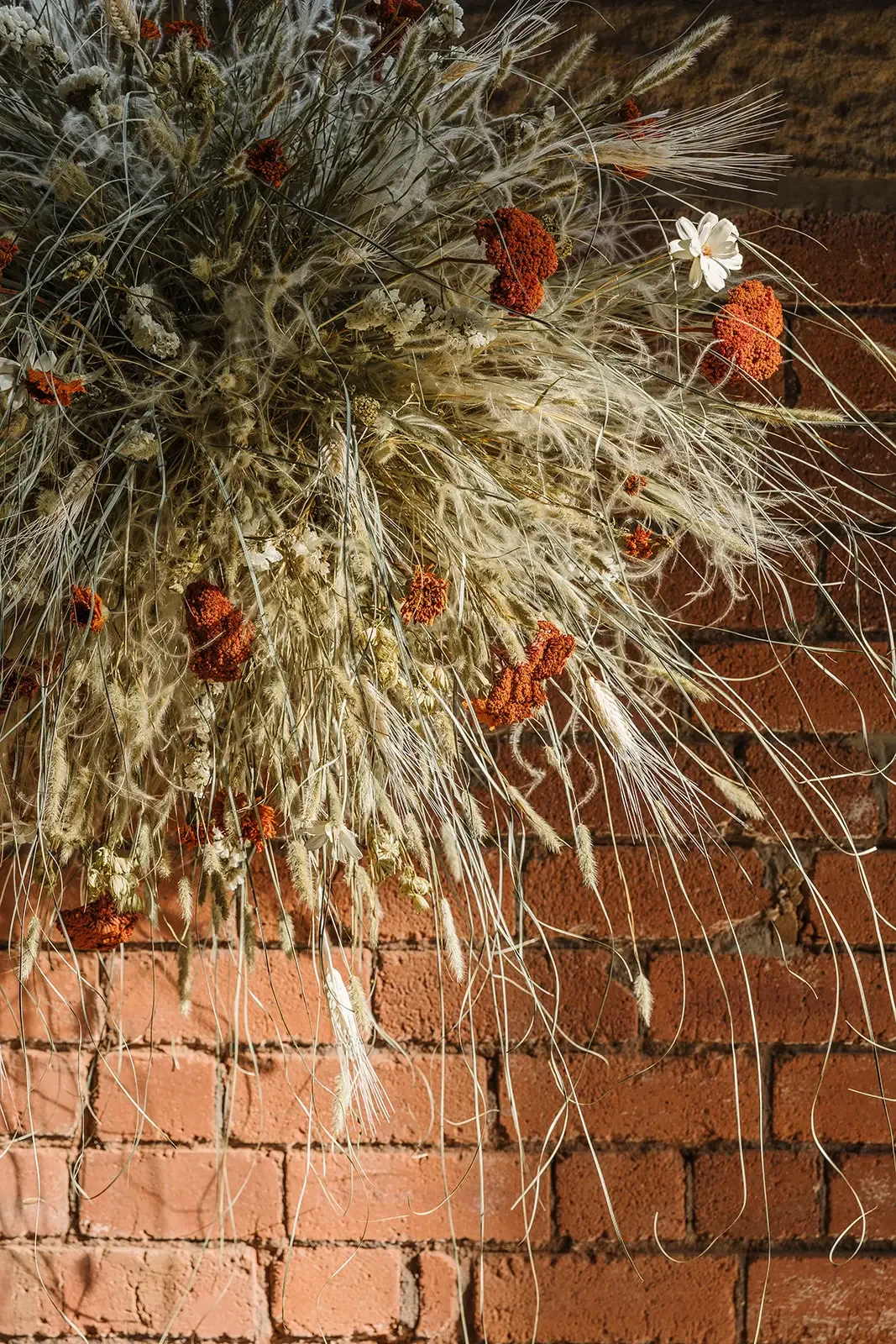 dried flower hanging - wildform - anther studio-3.webp