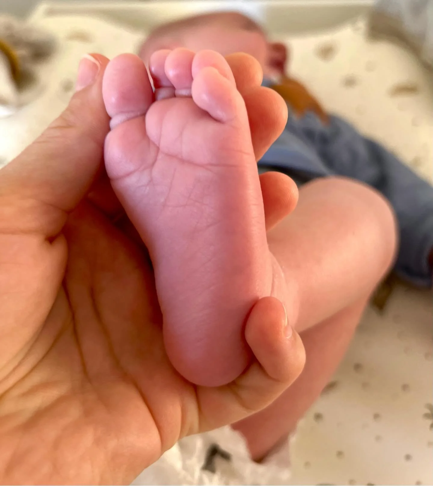 This year has been filled with the creation and the arrival of this little one. A love and miracle that has left me wholly transformed. So grateful to welcome the new year with this angel in my arms ✨ 

#2025recap #sweetloveofmine