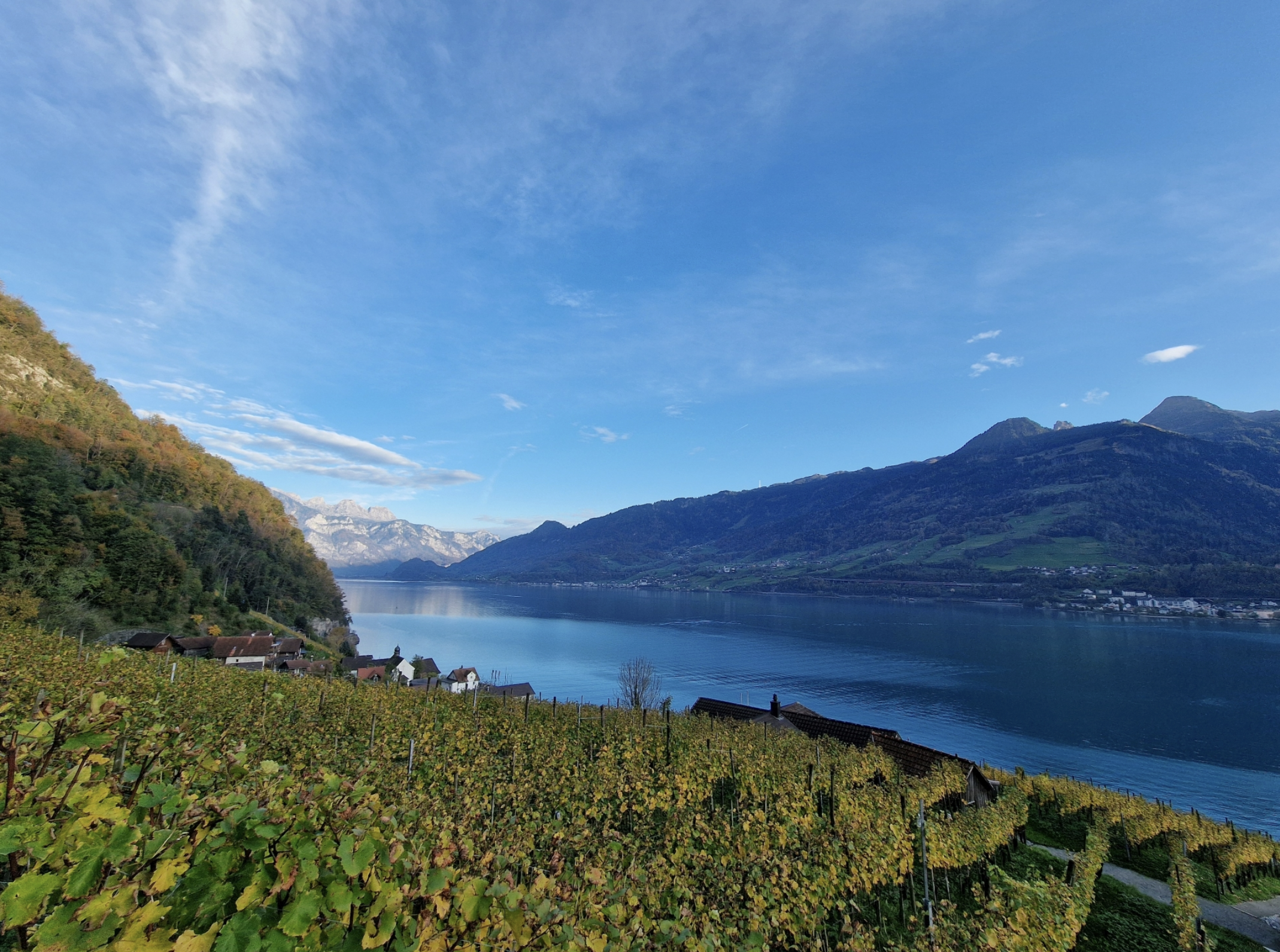 QuintEssenz Retreat / Samhain Woche