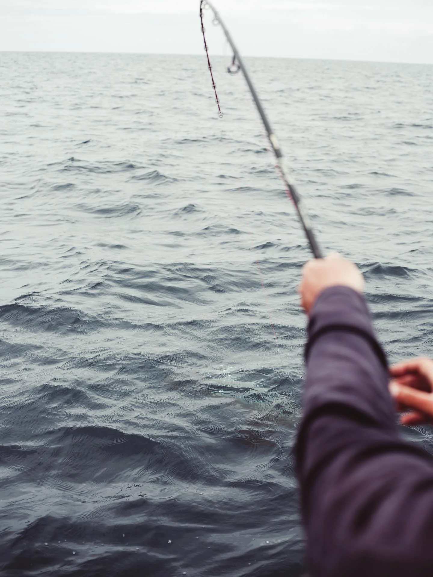 🎯 CHASSE AU THON : L&rsquo;ADR&Eacute;NALINE &Agrave; L&rsquo;&Eacute;TAT PUR ! 🐟🔥
_______________________________________________

Bienvenue au Pays Basque&hellip; aussi appel&eacute; la Mecque du thon rouge ! 🇫🇷🌊
Ici, c&rsquo;est pas Netflix 