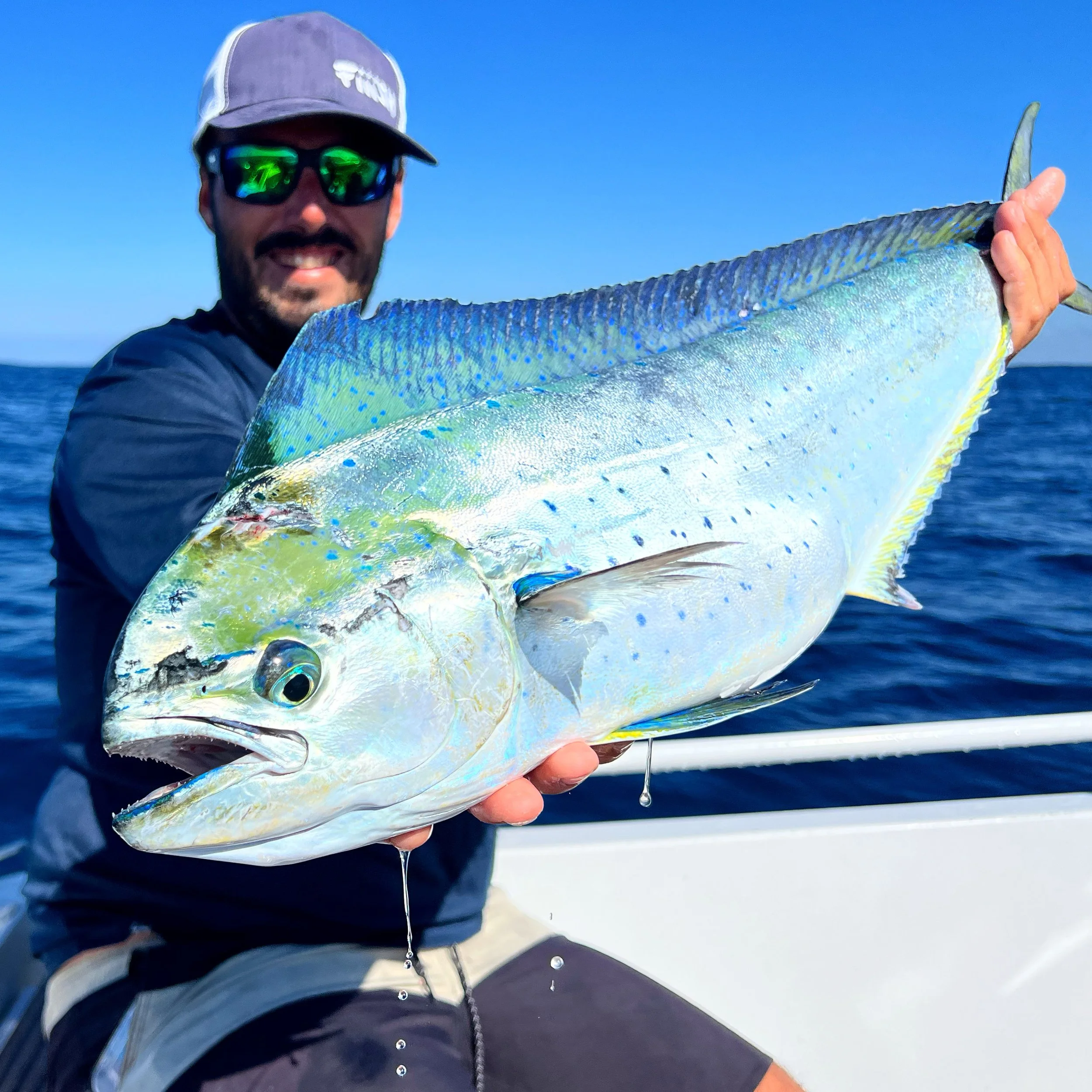 Et si le Pays Basque devenait la nouvelle destination EXO ?