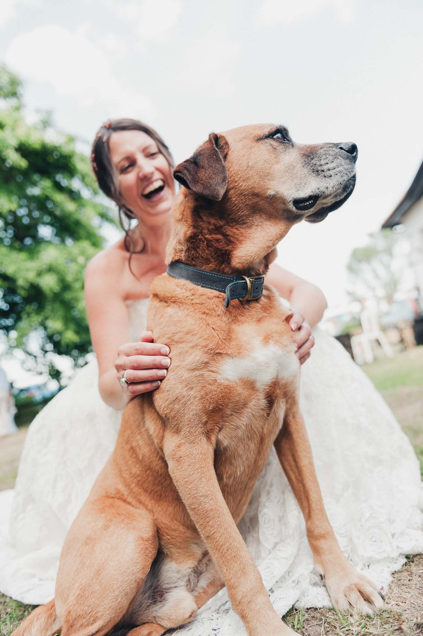 The bride smiling while holding a large dog during the reception.