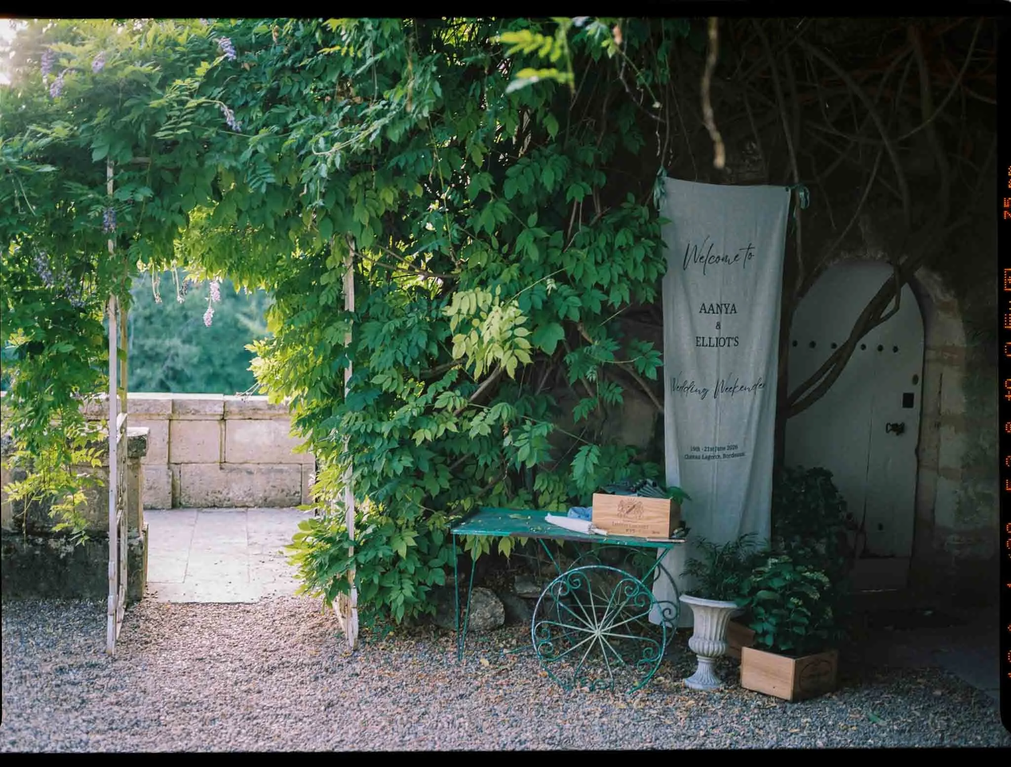Medium format film photograph of a welcome sign under a wisteria arch at Château Lagorce, Bordeaux
