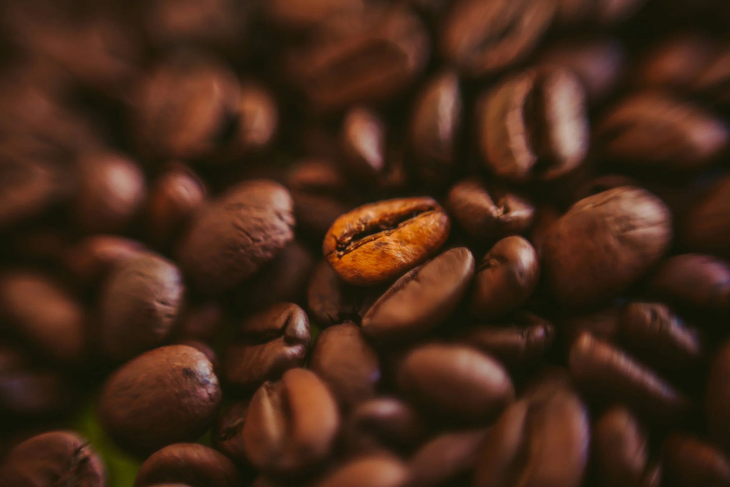 unsplash-image-nseuNxRqznE.jpg
