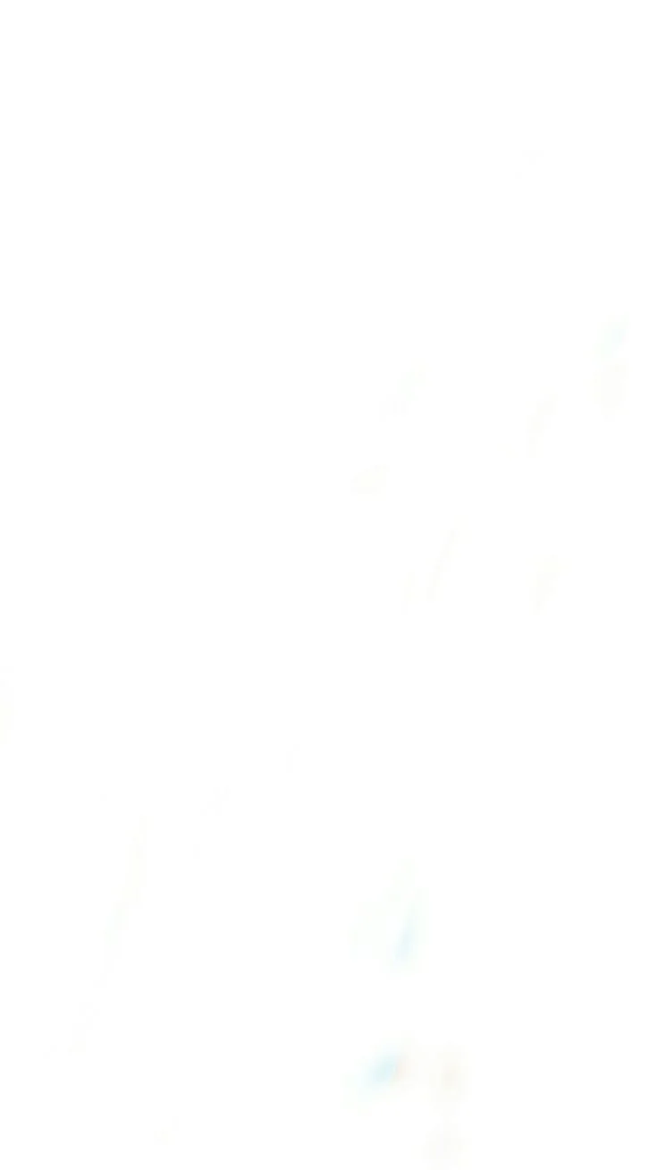 white.jpg
