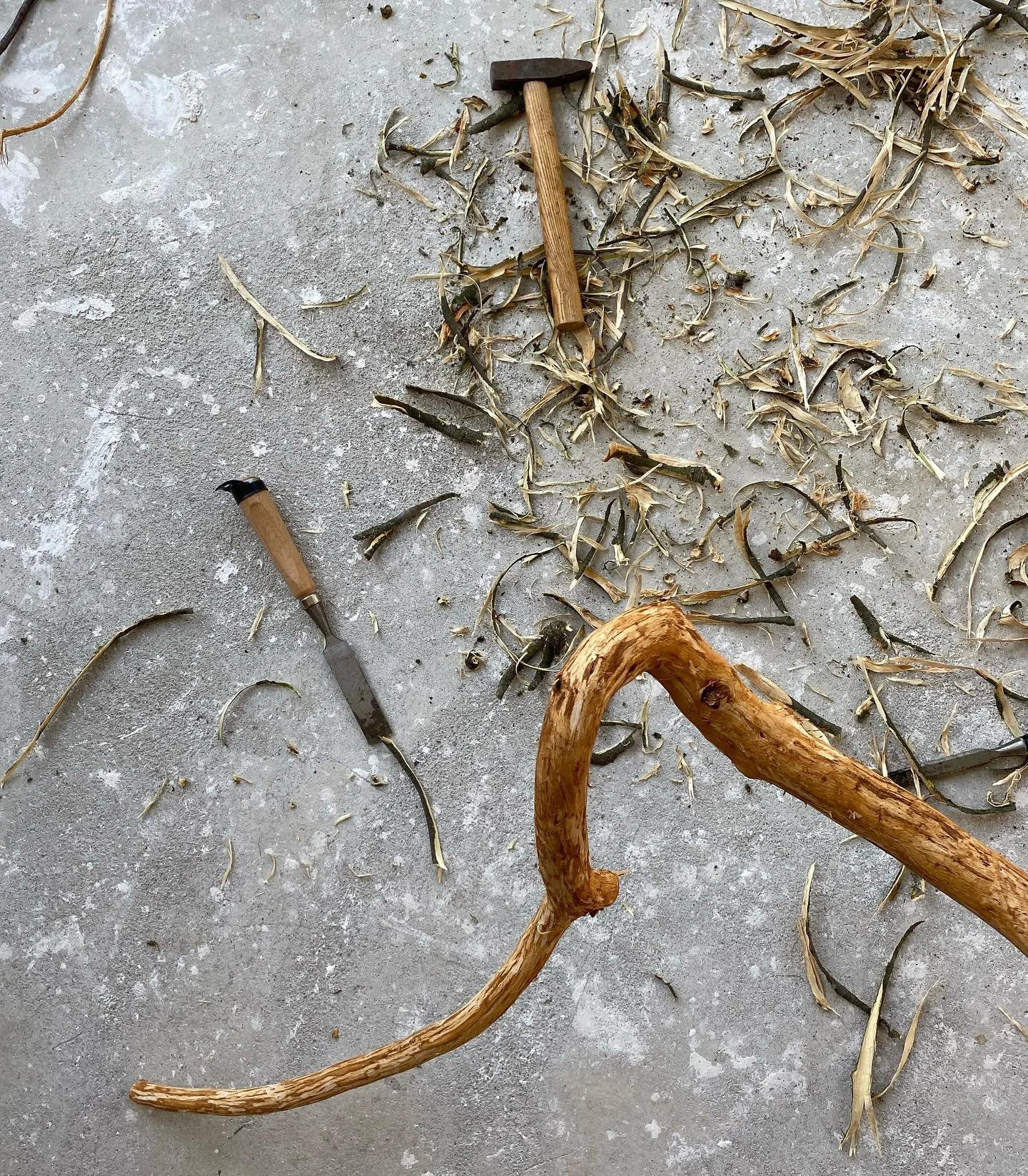 Snapshots from @aneta__lewandowska studio ✨