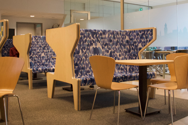 edith stein college11.png