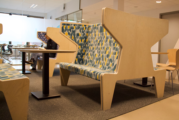 edith stein college6.png