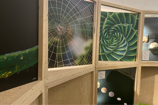 Museon-omniversum-one-planet-biophilic-design-tentoonstelling-ontwerp15.png