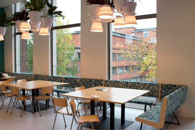 edith stein college14.png