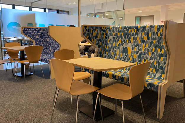 edith stein college10.png