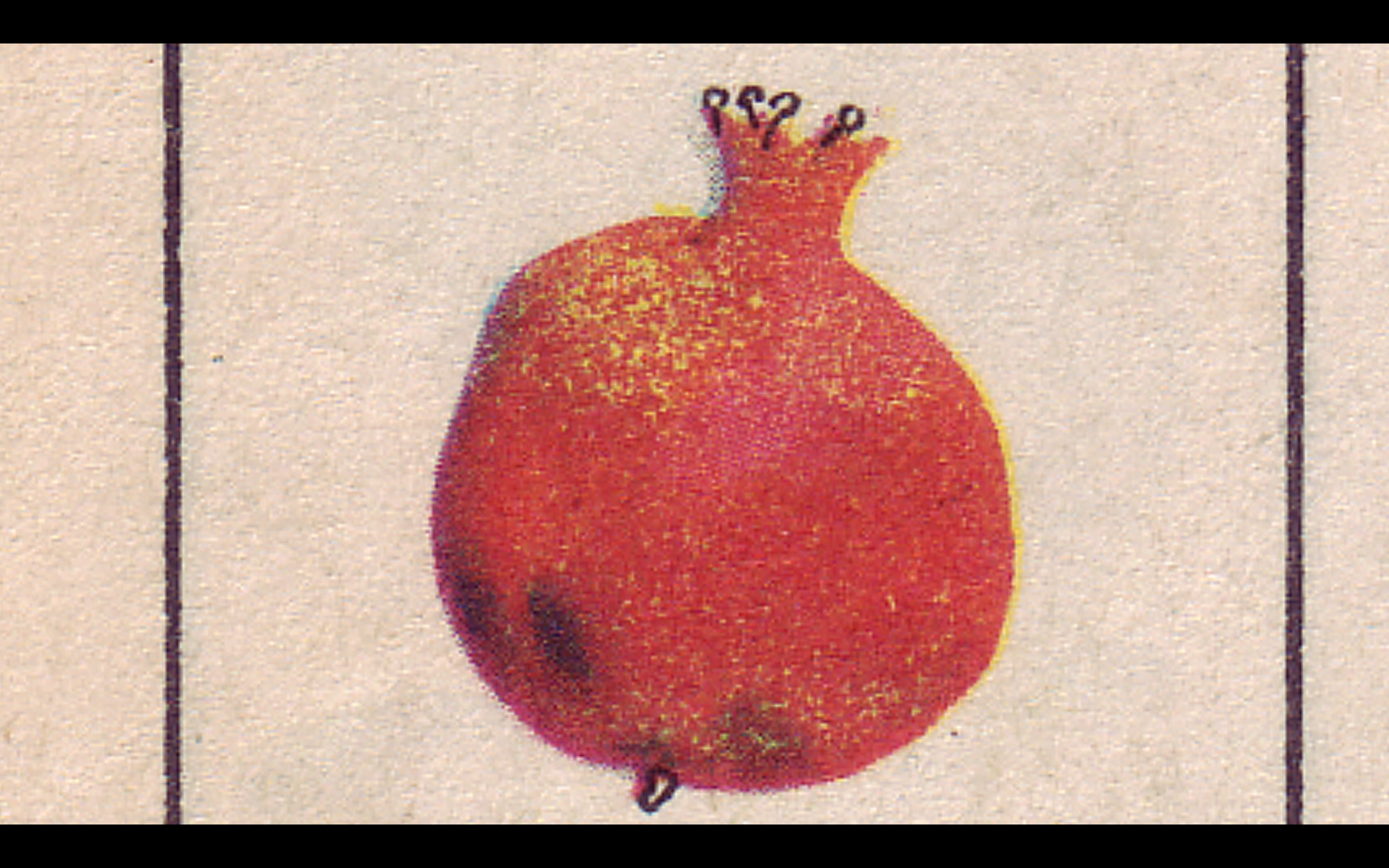 I comme Iran - 1 (clean).png