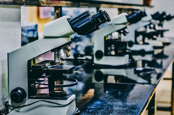 New CRO from China joins Repositive cancer model network