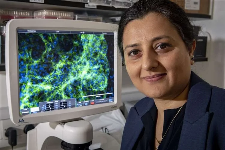 Stemnovate creates rapid diagnostic kit for Covid-19 that solves problems of false positives