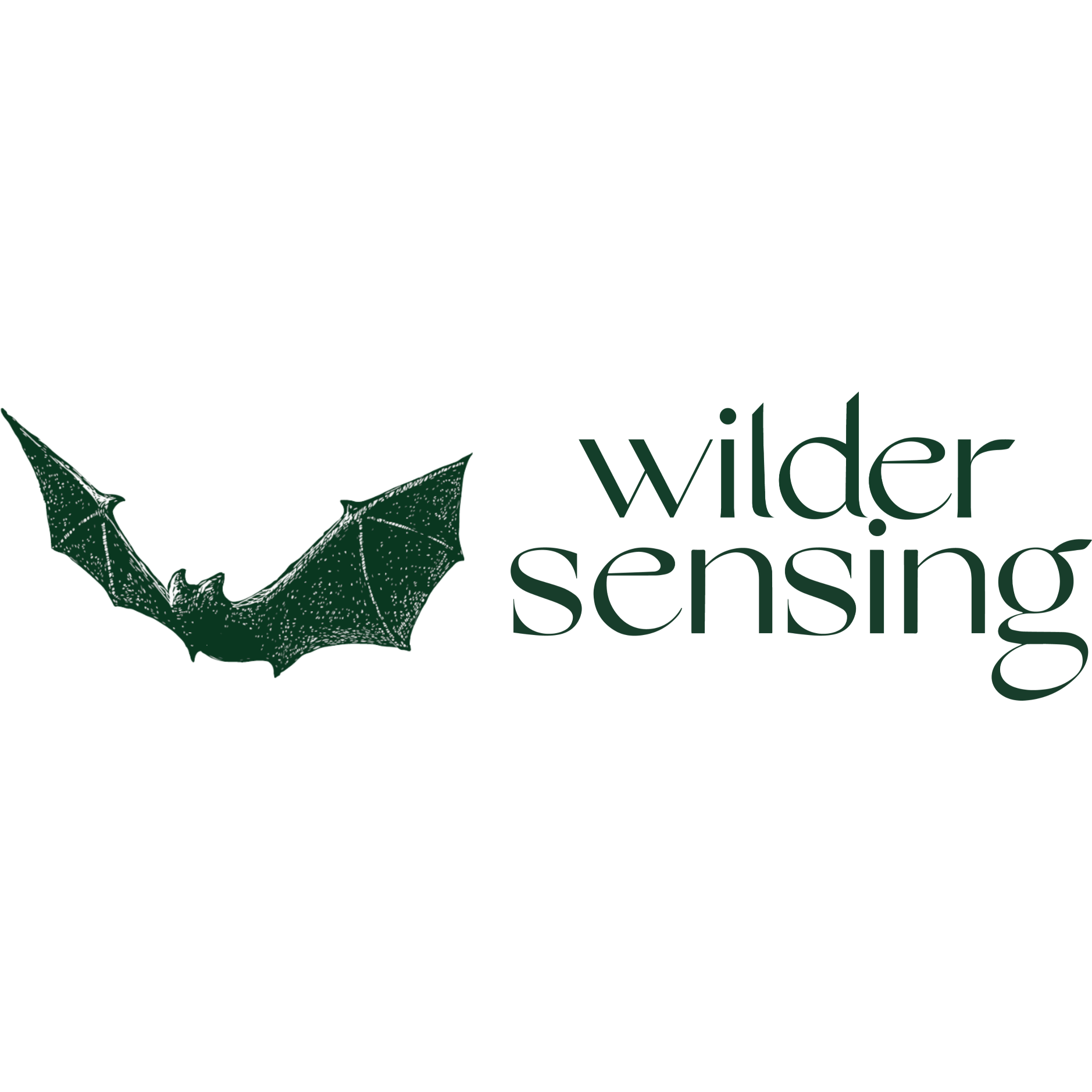 Dorset bird song recordings offer new insight into diversity