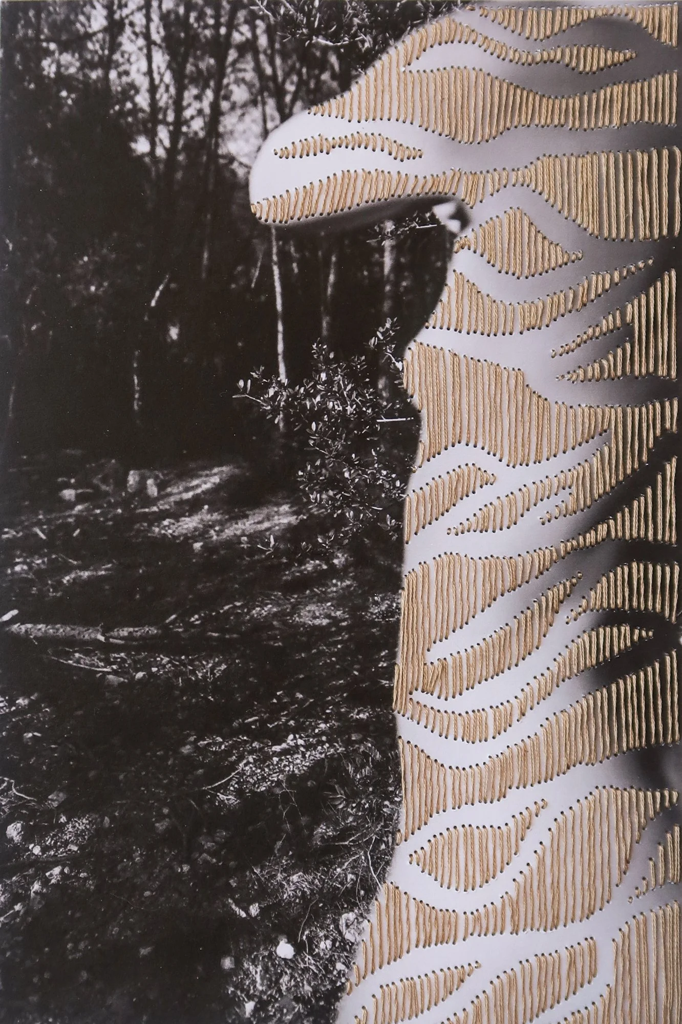 A photograph combining nude body, thread, and nature, photo embroidery on paper by Yanina Shevchenko, an artwork from her project We Are One