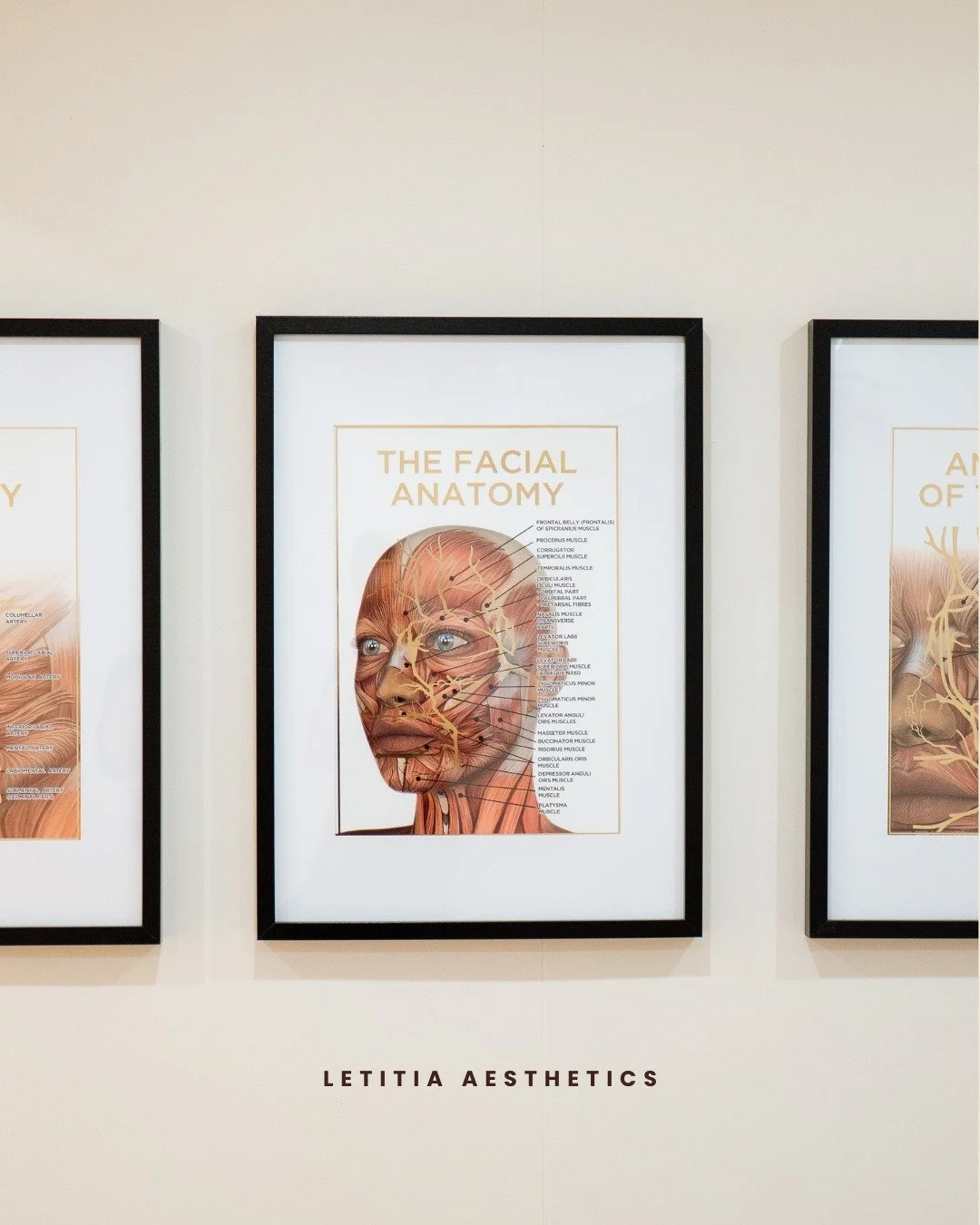 Every feature tells part of the story.
ㅤ
The way your brows sit, your cheeks move, your lips rest and your jaw is structured all contribute to how your face looks as a whole.
ㅤ
That&rsquo;s why looking at one feature in isolation doesn&rsquo;t always