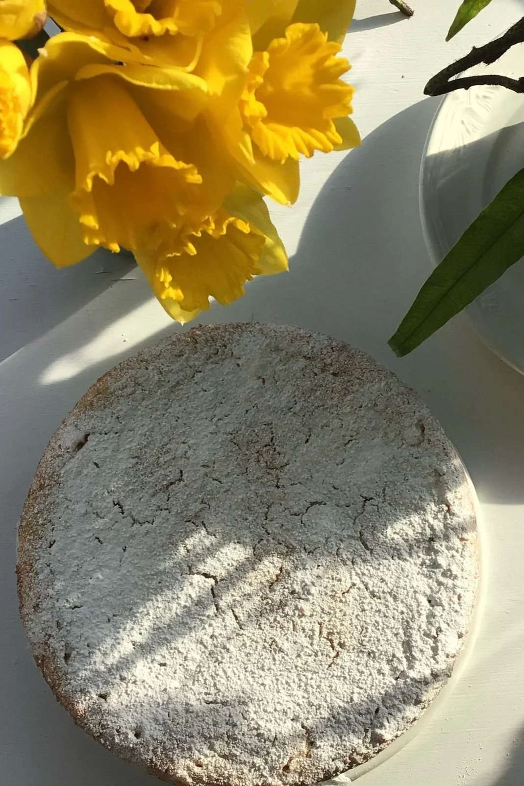 WhatsApp Image 2025-03-26 at 11.46.39_a06f86a0.jpg