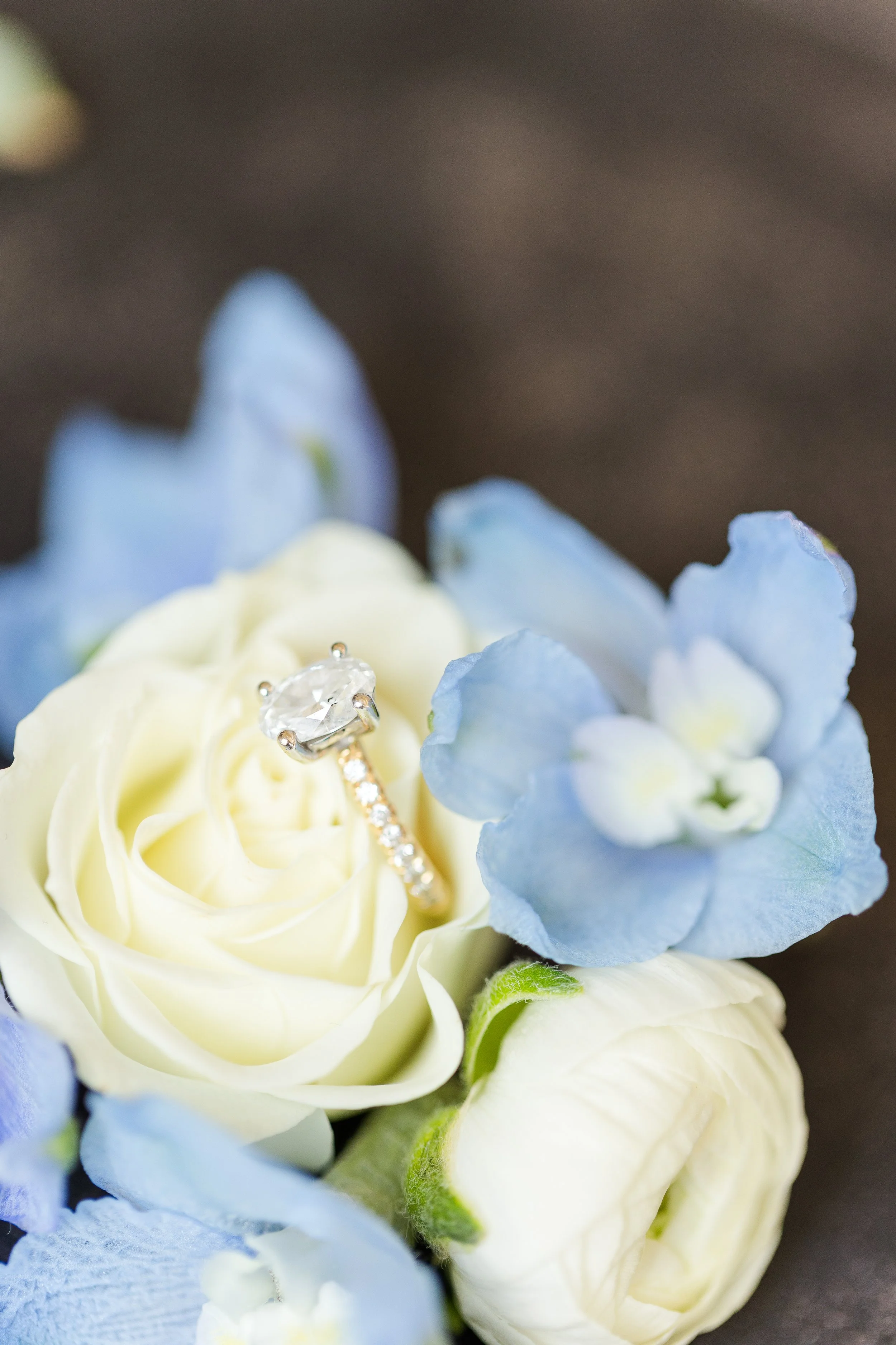 CoxWedding-3.jpg