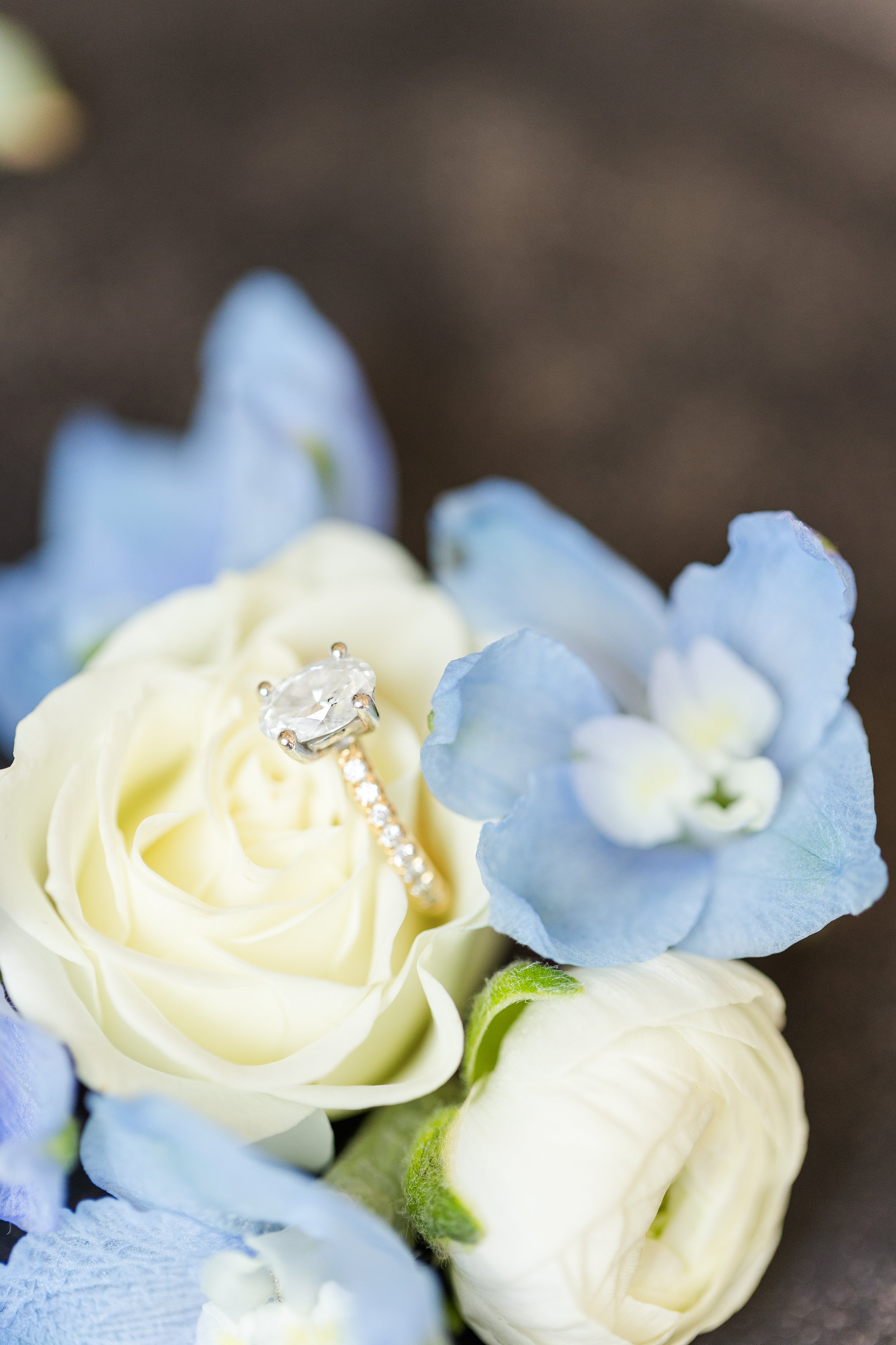 CoxWedding-3.jpg