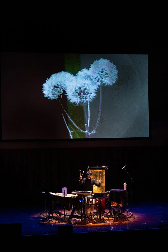 Performer on stage playing musical instruments with large screen showing a close-up of three dandelion seed heads