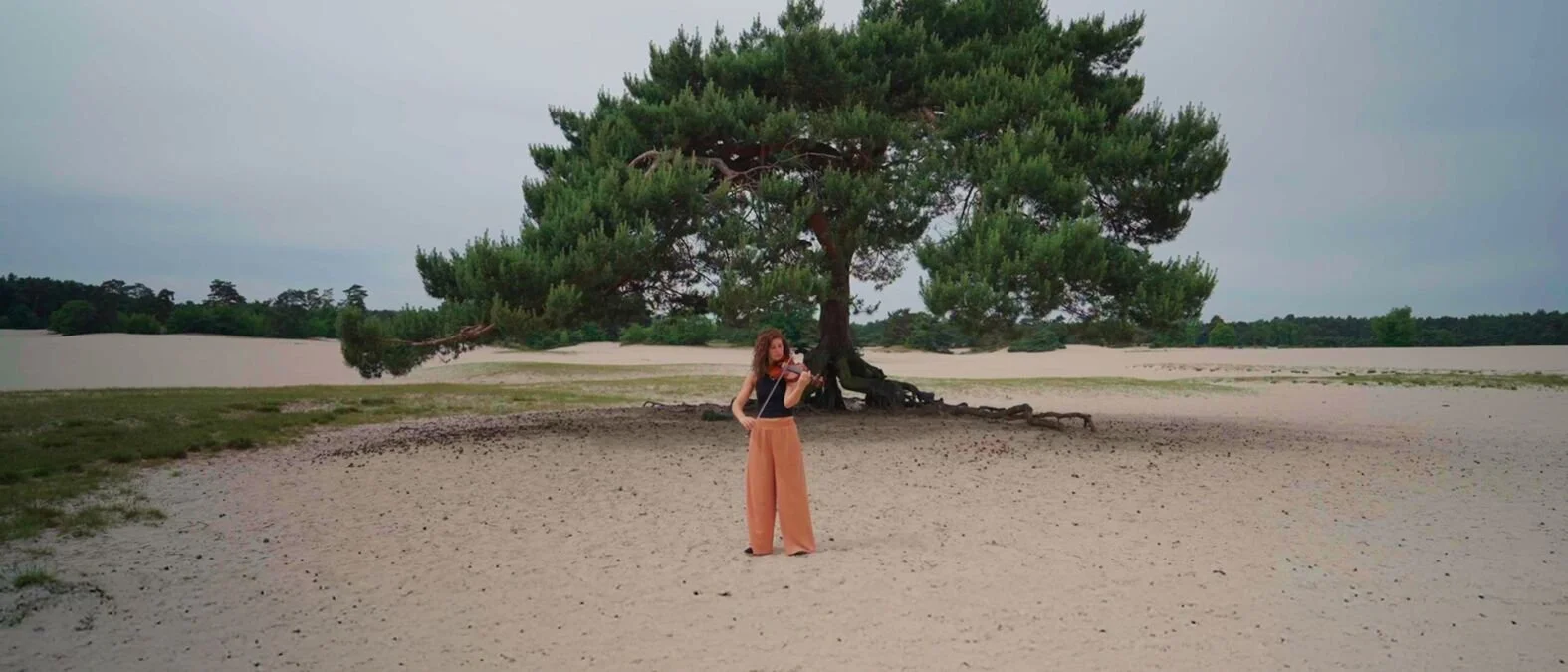 Imagine by Lonneke van Stralen