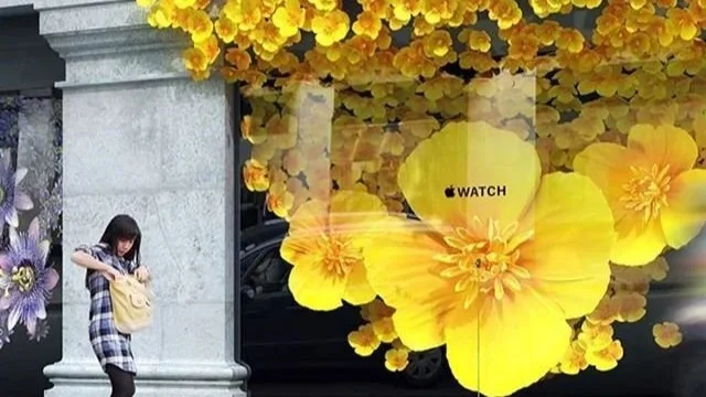 window experience apple