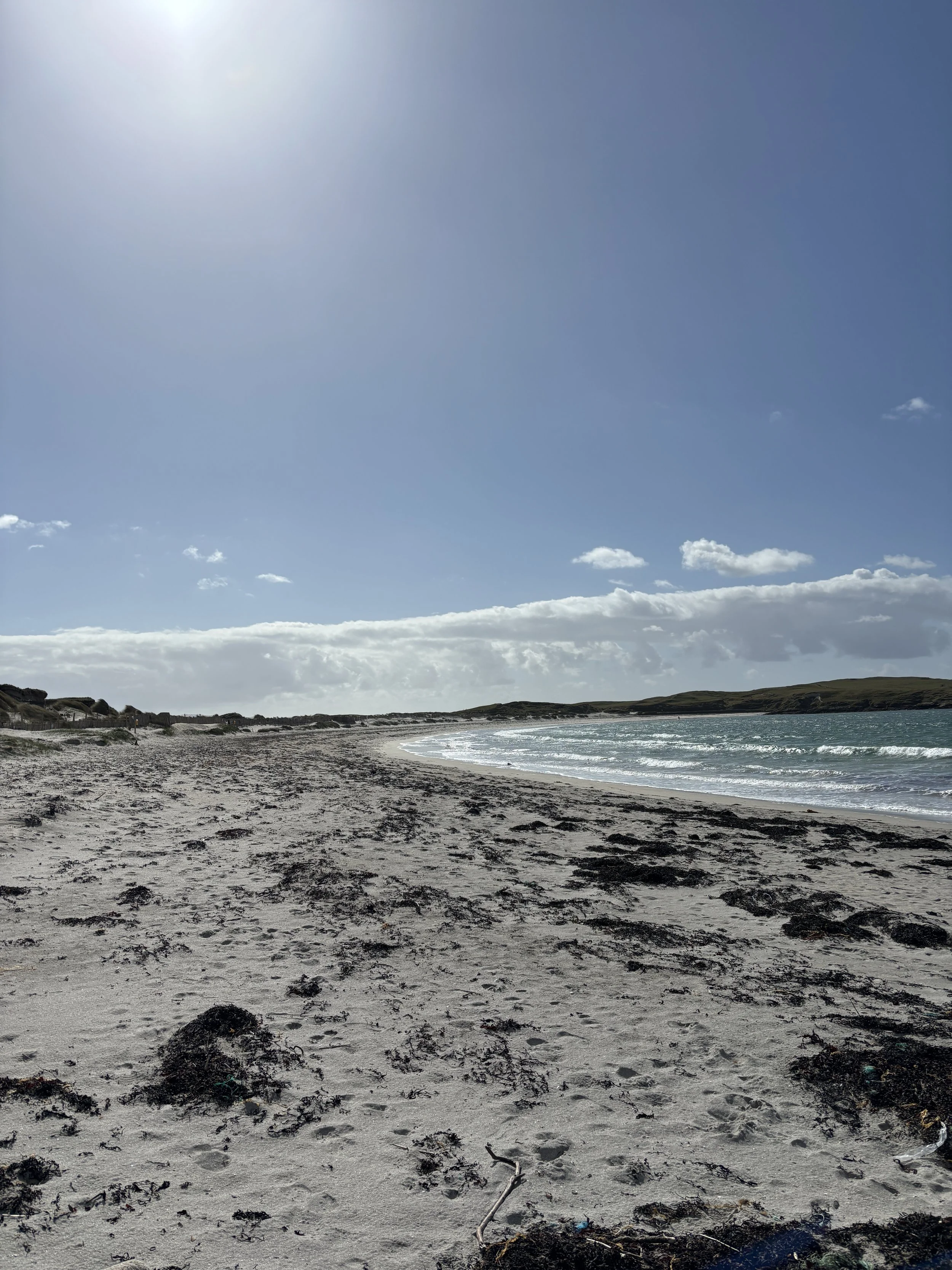 Sandy beach with dark seaweed and debris, gentle waves, cloudy sky with some blue, and hills in the distance.