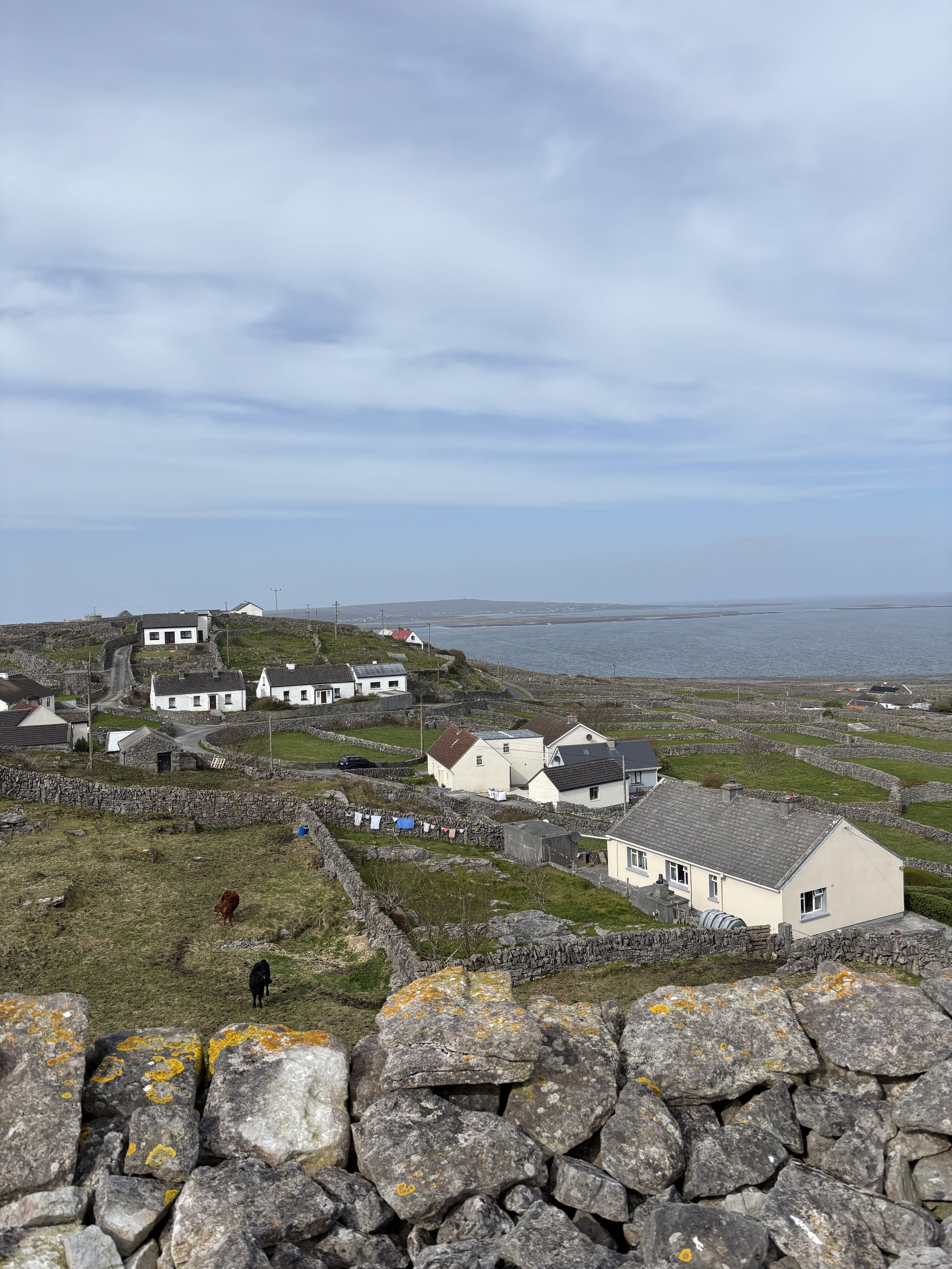 A coastal village scene with white houses on a hill overlooking the water, separated by stone walls and patches of green grass, with two horses grazing in the foreground and a cloudy sky overhead.