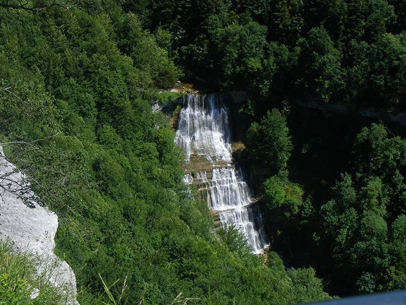 Cascade d'une rivière dans une forêt dense, vue aérienne.