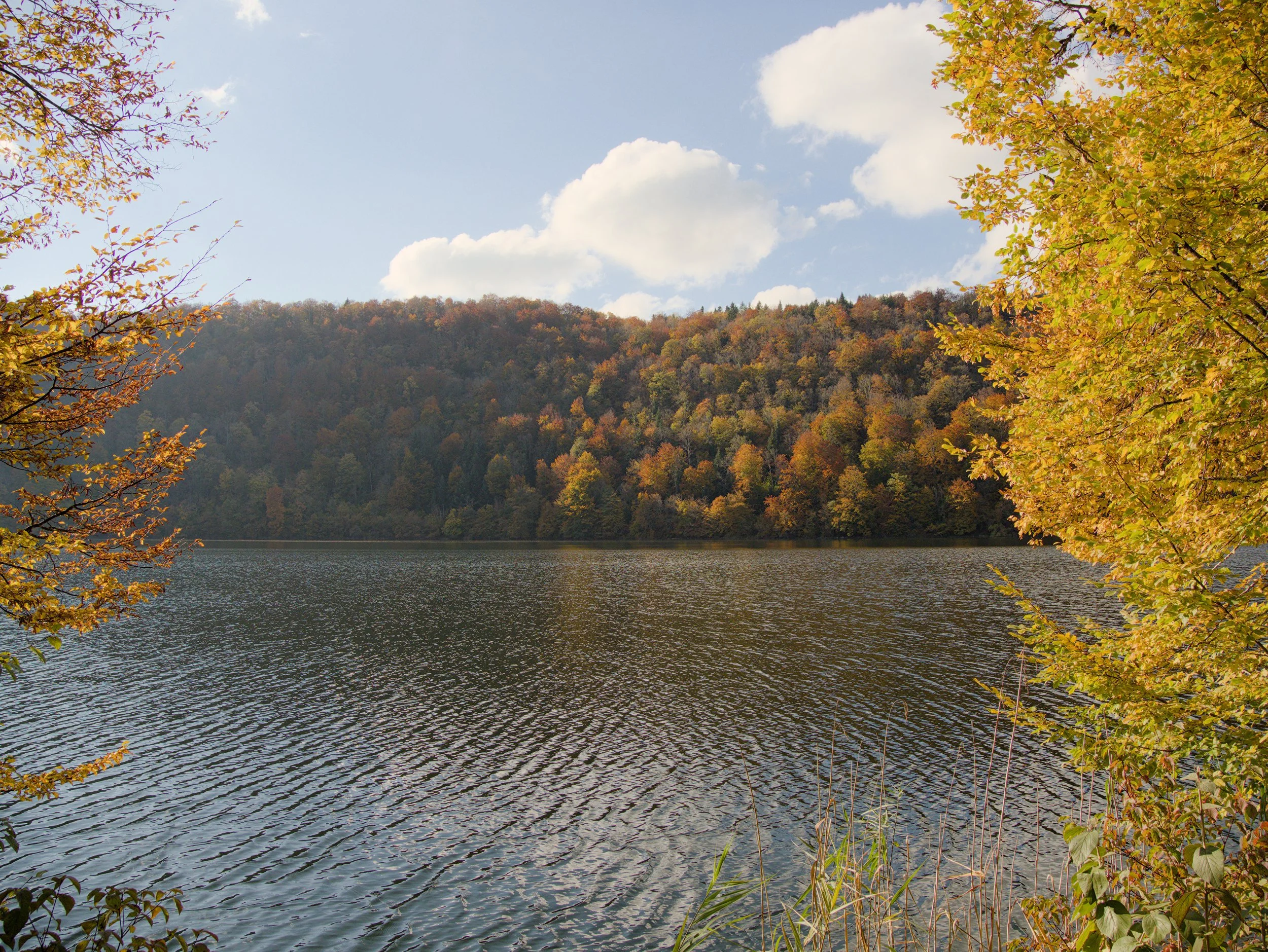 Scène automnale d'un lac entouré d'arbres aux couleurs changeantes, avec un ciel partiellement nuageux.