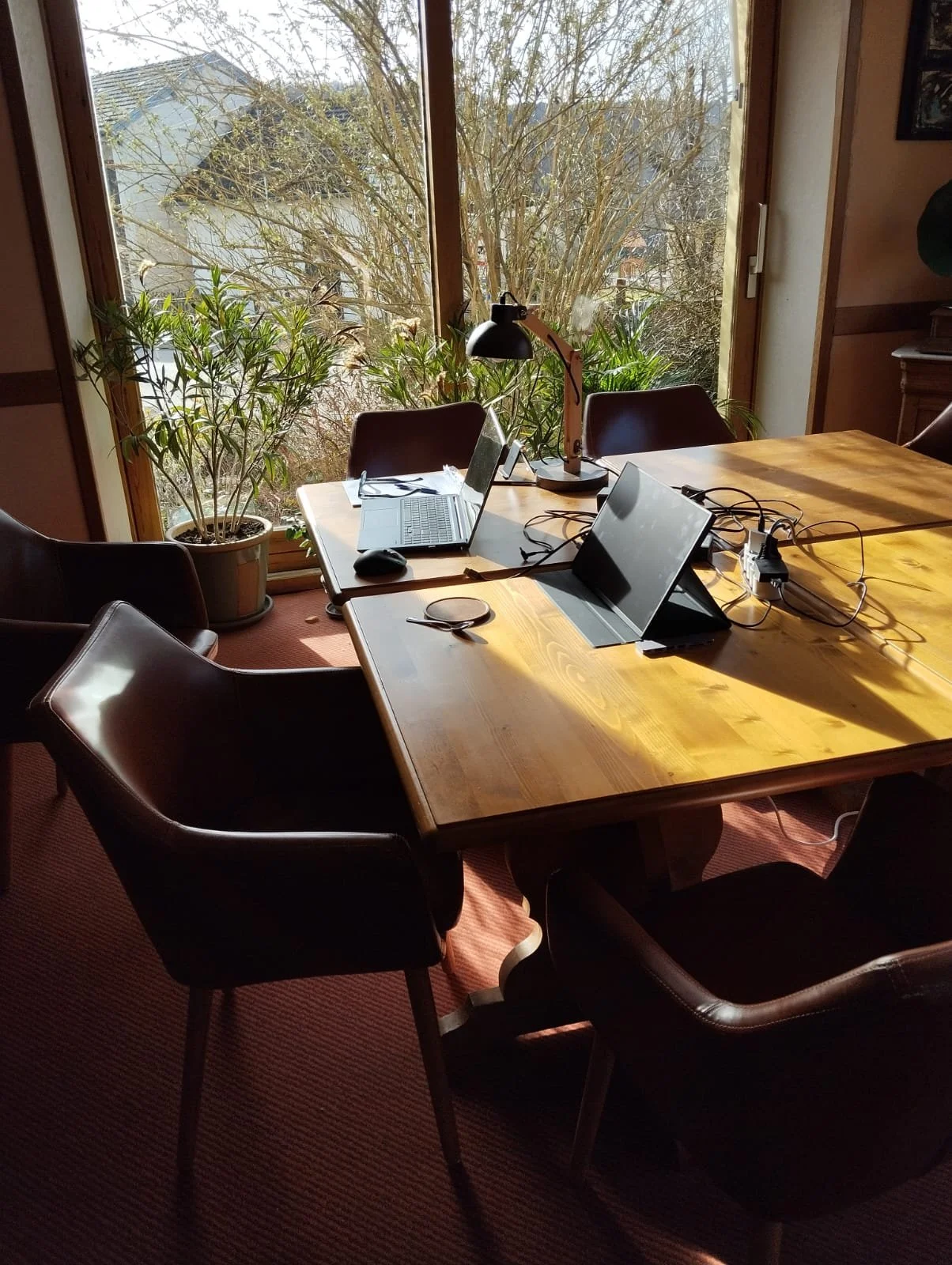 Salle de réunion avec un grand table en bois, plusieurs chaises en cuir, deux ordinateurs portables, une lampe de bureau, des plantes vertes près d'une grande fenêtre avec vue sur des arbres.