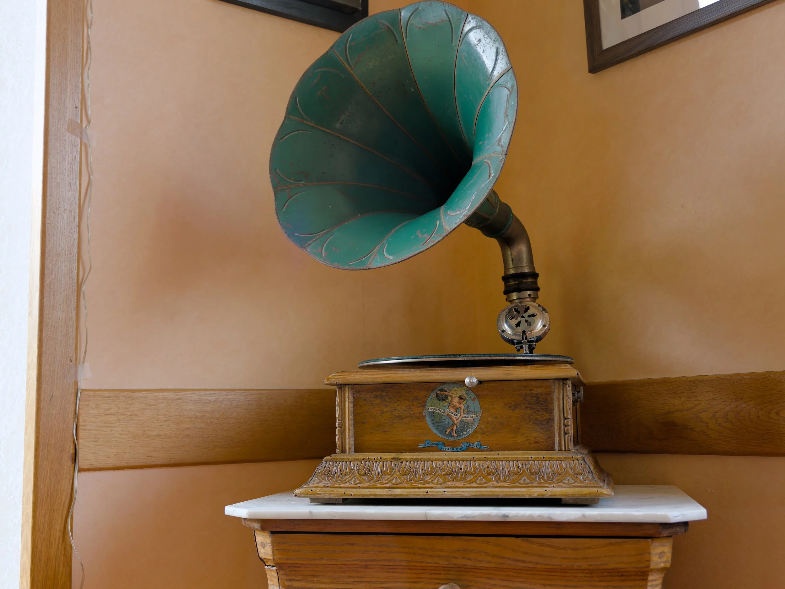 20251220_125804_1080B01C-DxO_DeepPRIME XD2s.jpg