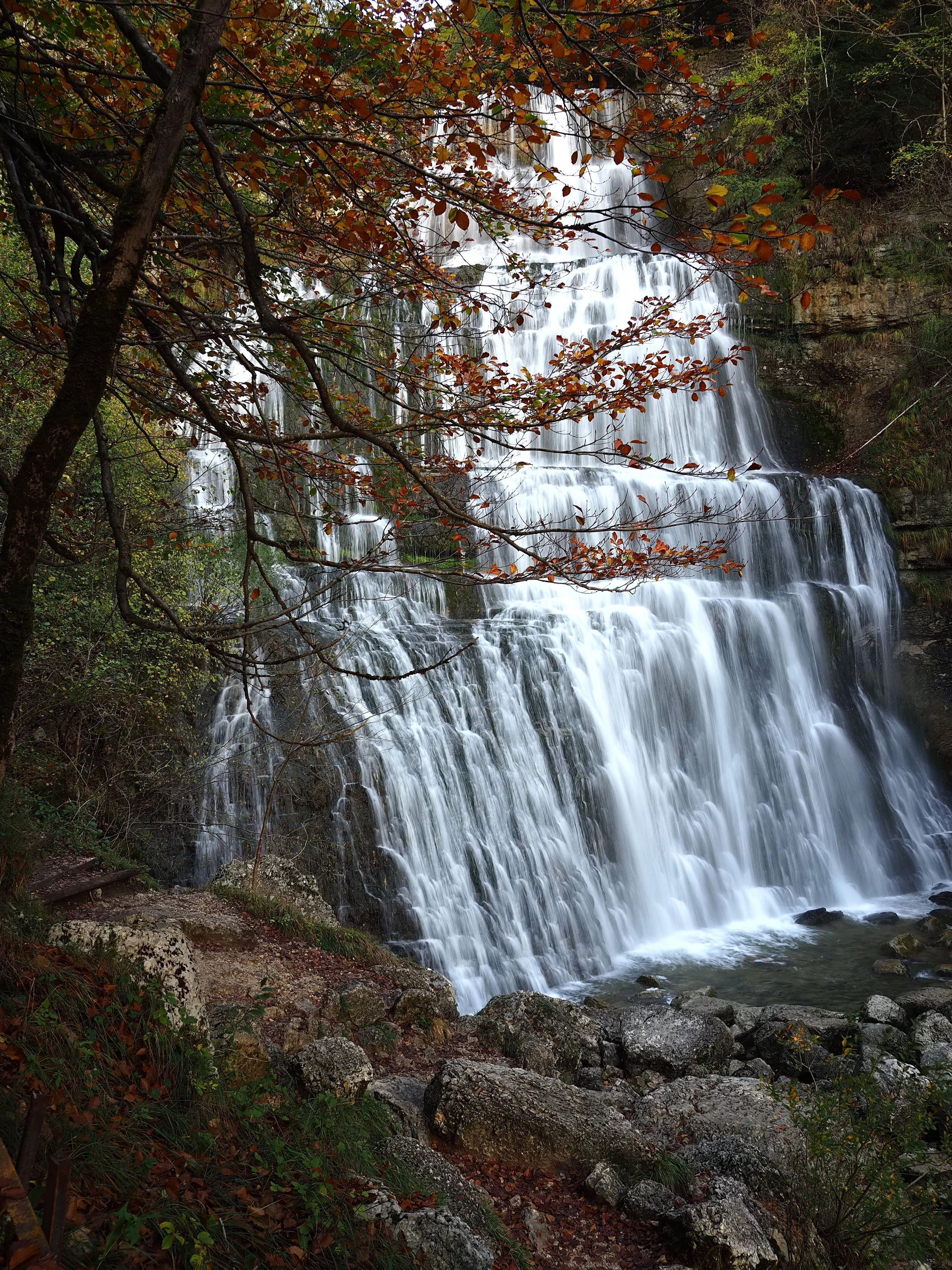 Cascade d'eau dans une forêt en automne avec des feuilles orange et vertes.