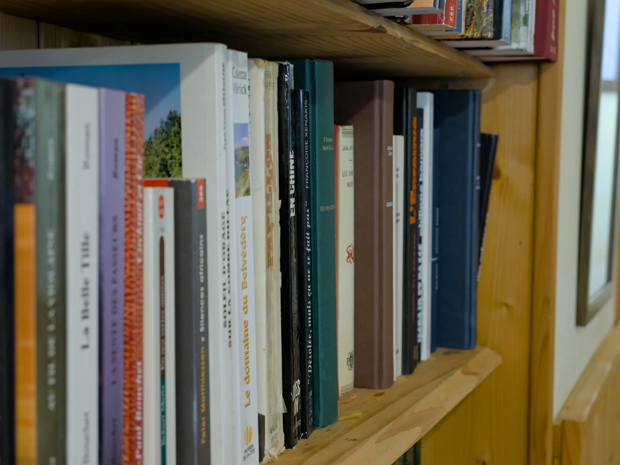 20251220_125903_2D94CD58-DxO_DeepPRIME XD2s.jpg