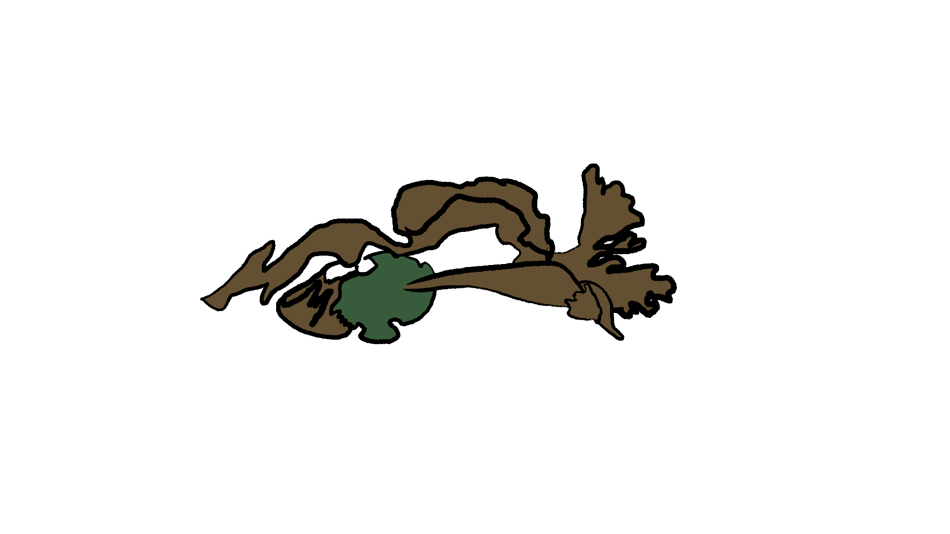 fallenBranch.png