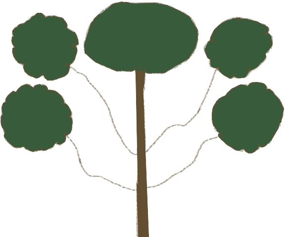 Woods_Silhouette_ (2).png