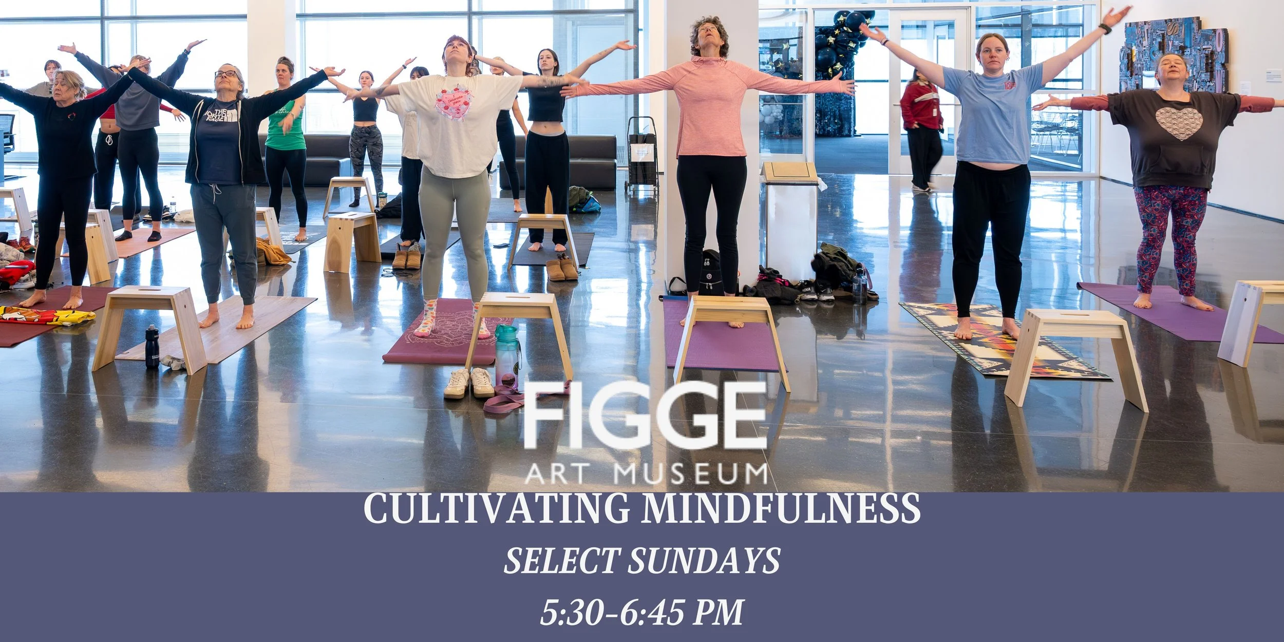Figge Art Museum-Cultivating Mindfulness