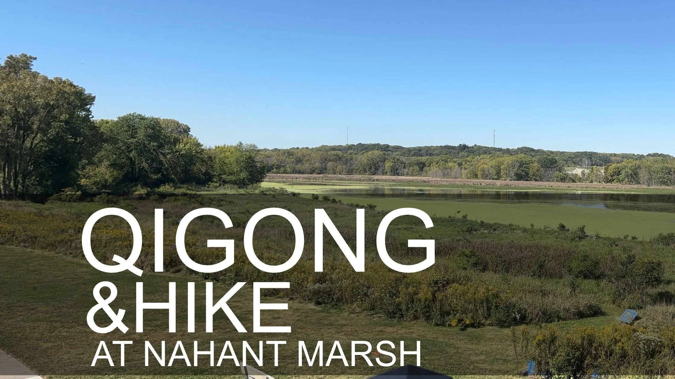 Nahant Marsh Hike &amp; Qigong 