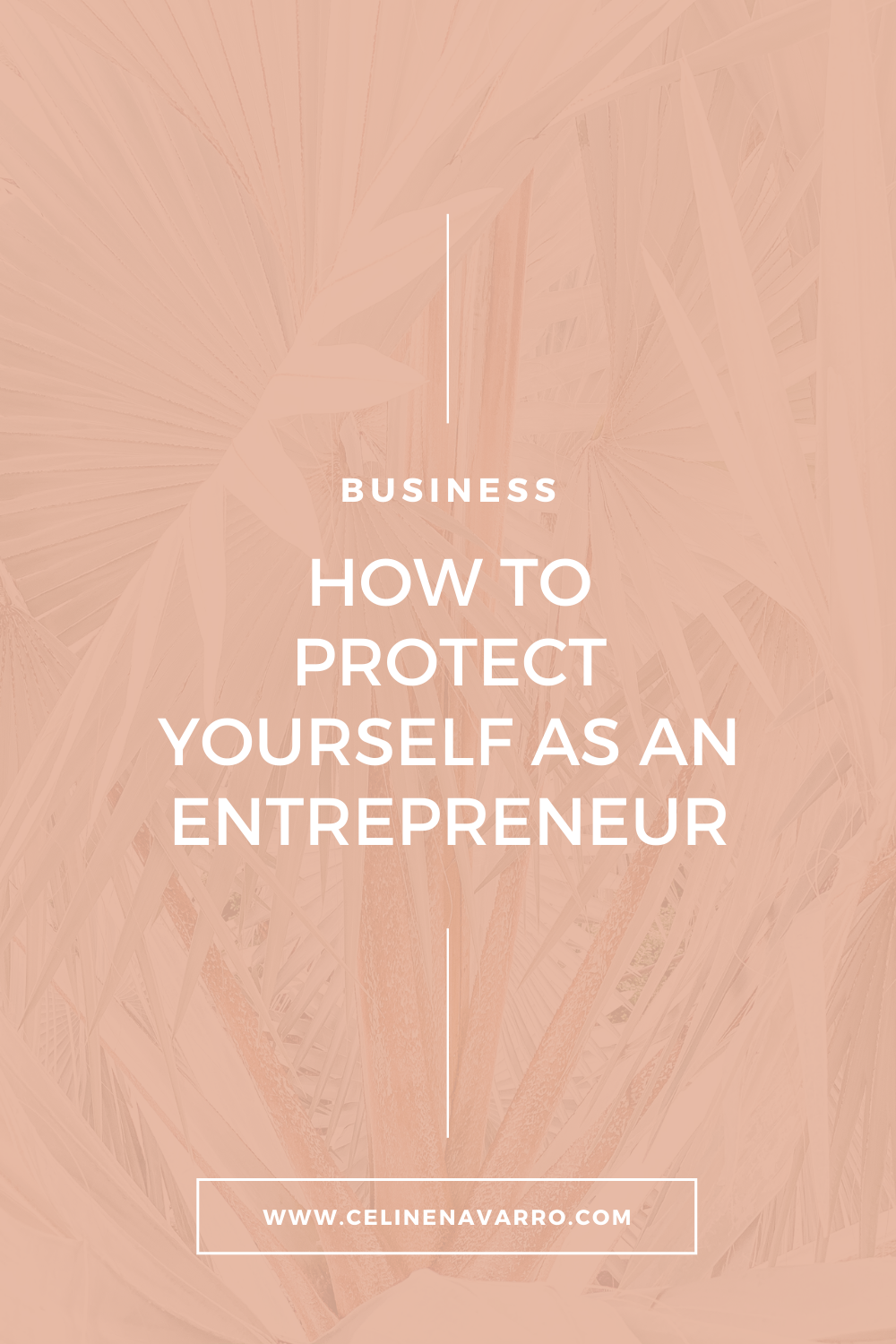 HOW TO PROTECT YOURSELF AS AN ENTREPRENEUR.png